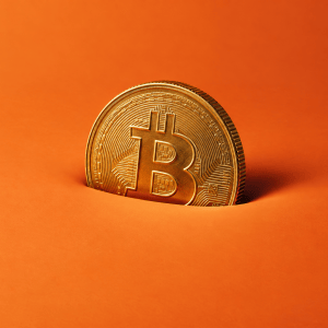 Vijftien grote beleggers hielden crypto vast toen de markt halveerde